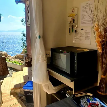 Apartment Rosa